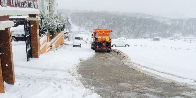 Tuzla Belediyesi, Karla Mücadele Çalışmalarını Aralıksız Sürdürüyor