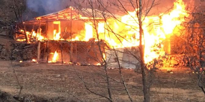 Artvin’de Çıkan Yangında Ev Kül Oldu