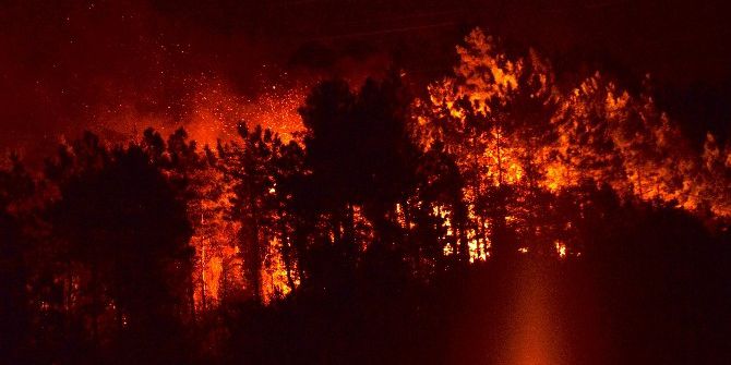 Trabzon’da Orman Yangını