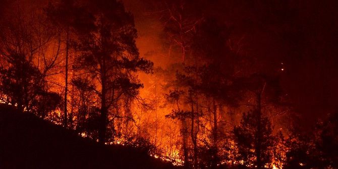 Trabzon Valisi Yücel Yavuz: “Yangında 15-20 Hektar Kadar Bir Alanın Etkilendiğini Düşünüyoruz”