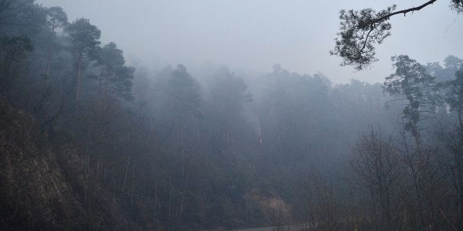 Günün Ağarmasıyla Trabzon’daki Yangının Boyutu Ortaya Çıktı