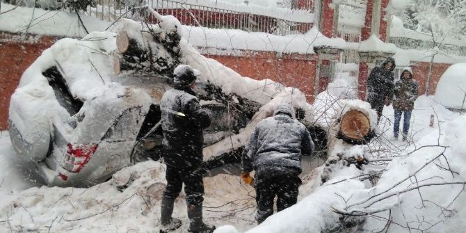 Karın Ağırlığına Dayanamayan Ağaç Araçların Üzerine Devrildi