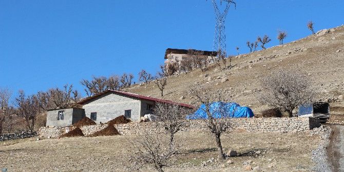 Ev Bulamayan Şırnaklı Aile Ahıra Yerleşti