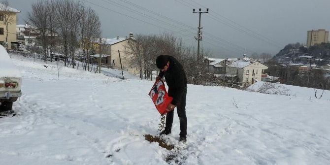 Akçakoca’da Sokak Hayvanlarına Yem Bırakıldı