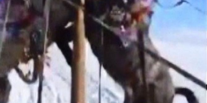 Buz Tutan Çıldır Gölünde Kızağa Takılı Atlar Kavga Etti