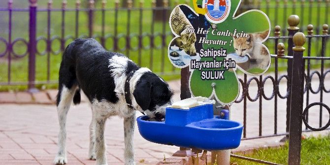 Belediyeden 15 Bin Dostuna Yardım Eli