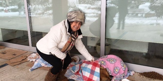 Sokak Hayvanlarını Üşümesin Diye Battaniyelere Sardılar