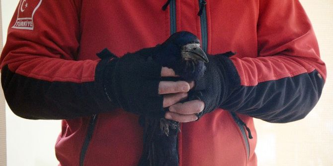 Eskişehir’de Karga Kurtarma Operasyonu
