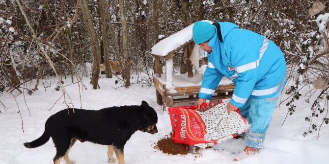 Çekmeköy Belediyesi Karda Sokak Hayvanları İçin Seferber Oldu