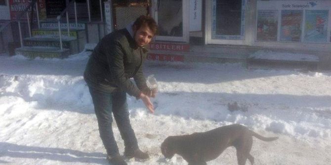 Esnaftan Para Toplayarak Karda Aç Kalan Sokak Hayvanlarını Beslediler