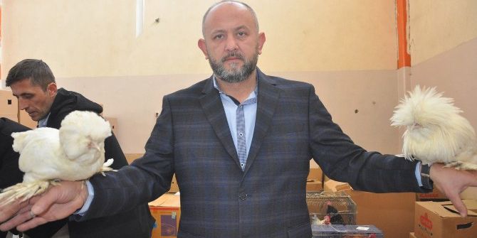 İnegöl’de Süs Tavukları Şöleni