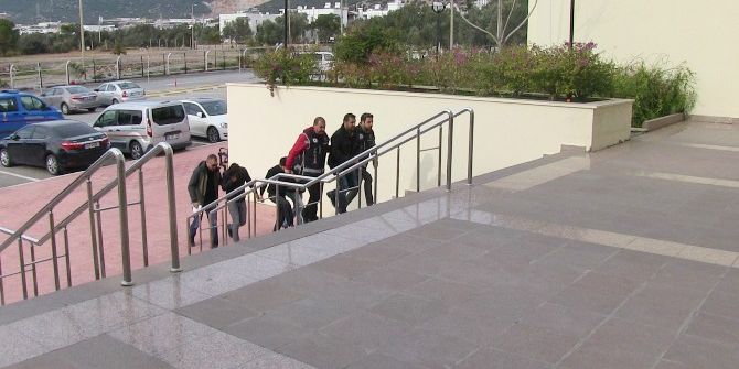 Kefir Şişesinden Bonzai Çıktı