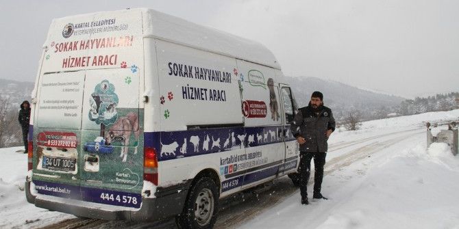 Kartal Belediyesi Sokak Hayvanlarının Yanında