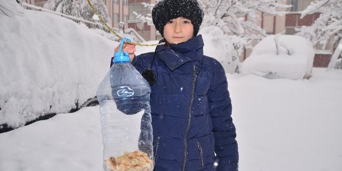 Plastik Şişeleri Değerlendirdi, Kuşlara Yemlik Yapıp Ağaçlara Astı.