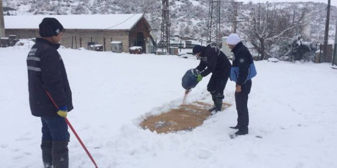 Simav’da Sokak Hayvanları İçin Yem Bırakıldı