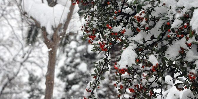 Kocaeli’de Kar Yağışı Kartpostallık Fotoğraflar Oluşturdu
