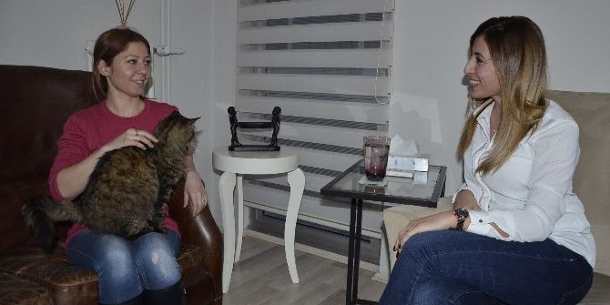 Kedi Fobisine Kedili Terapi