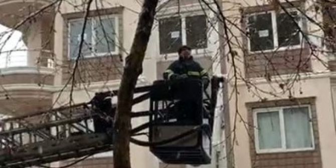 Ağaçta Mahsur Kalan Kedi Kurtarıldı