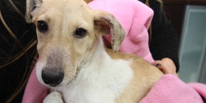 Hayat Ona “Şans” Getirdi