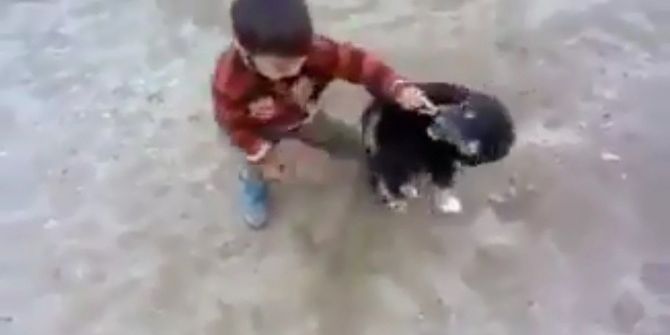 Minik Çocukla Yavru Köpeğin Müthiş Kavgası