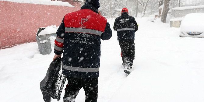 Güngören Belediyesi Sokak Hayvanlarına Sahip Çıktı