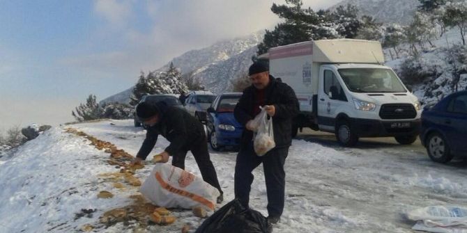 Şehzadeler Sokak Hayvanlarını Unutmadı