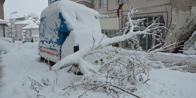 Tokat’ta Beyaz Esaret