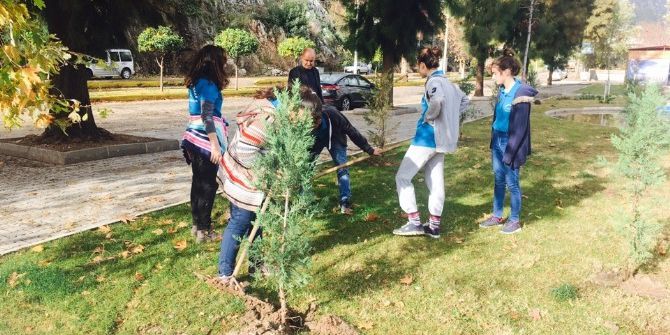 Öğrenciler Çam Ağaçlarına Kendi İsimlerini Verdi