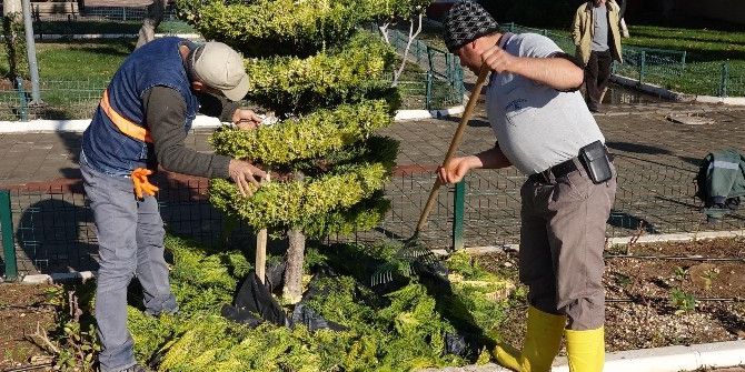 Erdemli’de Park Ve Bahçe Bakımları Sürüyor