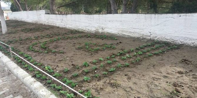 Köprübaşı Mezarlığı Çiçeklerle Donatıldı