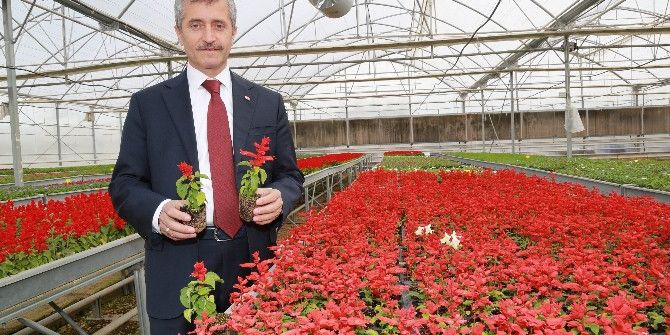 Şahinbey Doğaya Dokundu