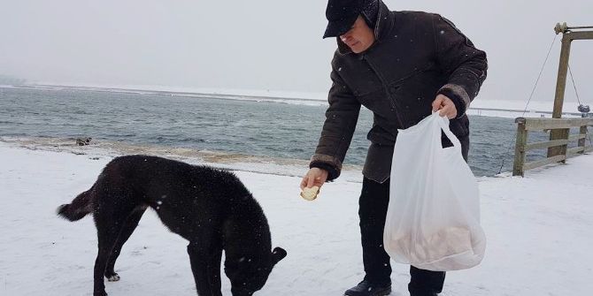 Büyükçekmece’nin Sokak Hayvanları Aç Kalmadı