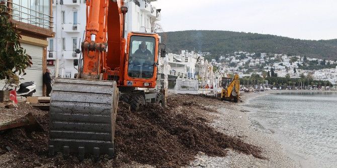 Bodrum’da Sahiller Temizleniyor