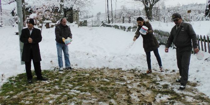 Hayvanlar Aç Kalmasın Diye Doğaya Yem Bıraktılar