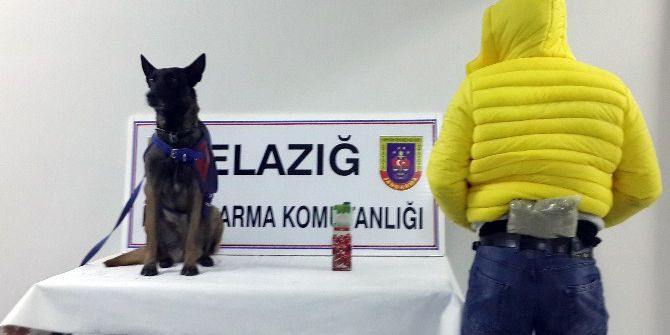 Sırtında Ve Meyve Suyu Kutusunda Esrar Ele Geçirildi