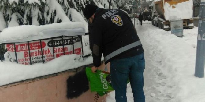 Zırhlı Araçlarla Devriye Atan Polis Sokak Hayvanlarını Unutmadı