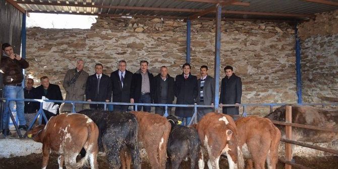 Bozdoğan’da 16 Genç Çiftçi Hibeden Faydalandı