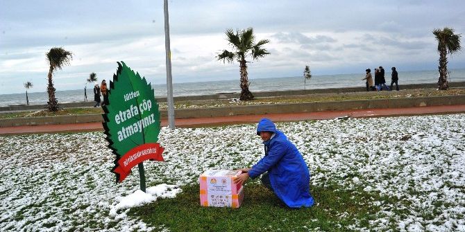 Büyükşehirden Sokak Hayvanlarına Kış Şefkati