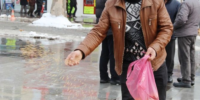 Cebindeki Son Parasıyla Güvercinleri Doyurdu