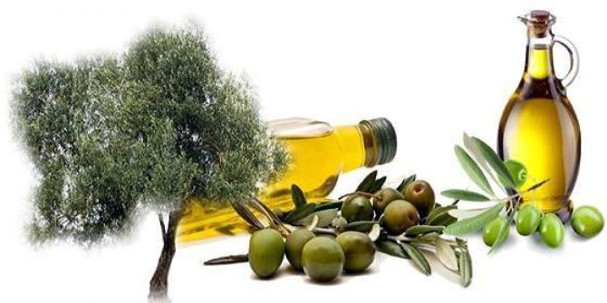 Zeytin Ve Zeytinyağını En İyi Anlatan Eserler Yarışacak