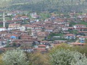 Bursa Armutcuk Köyü