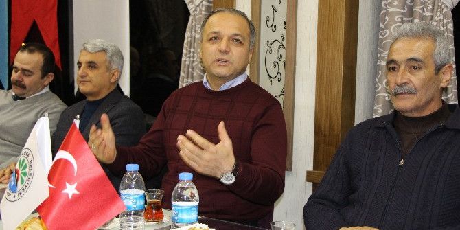 Derelere Dökülen Soğan Elektriğe Dönüşecek