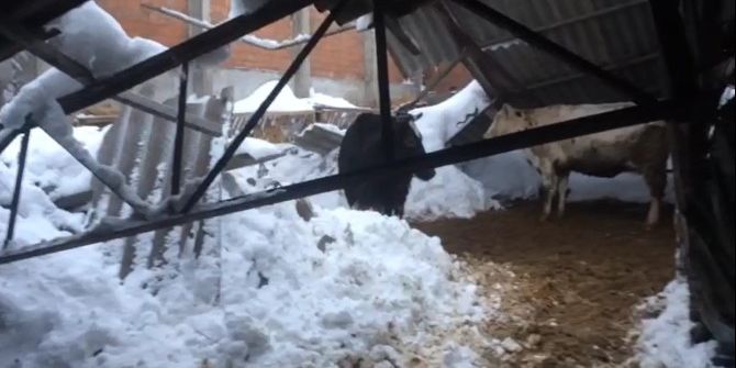 Mahsur Kalan Çobana 2 Gündür Ulaşılamıyor