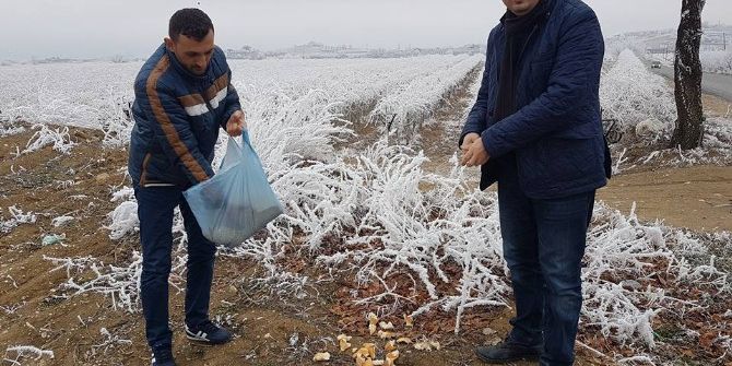 Ak Partililer Yaban Hayatını Unutmadı
