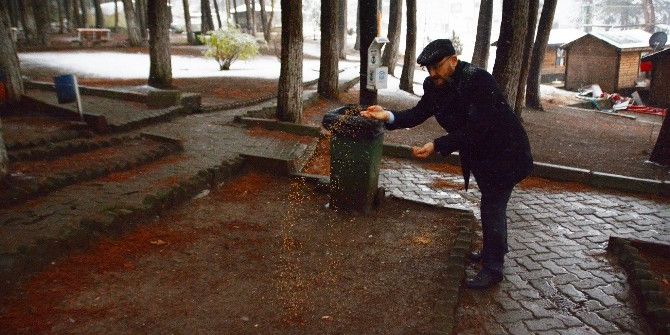 Niksar’da Aç Kalan Hayvanlar İçin Doğaya Yiyecek Bırakıldı