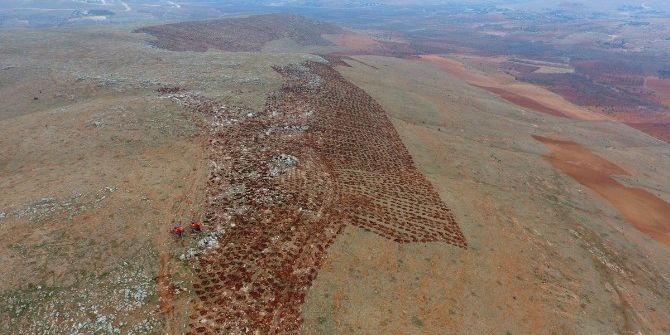 1 Milyon Metre Kare Alanda Ağaçlar Yeşerecek