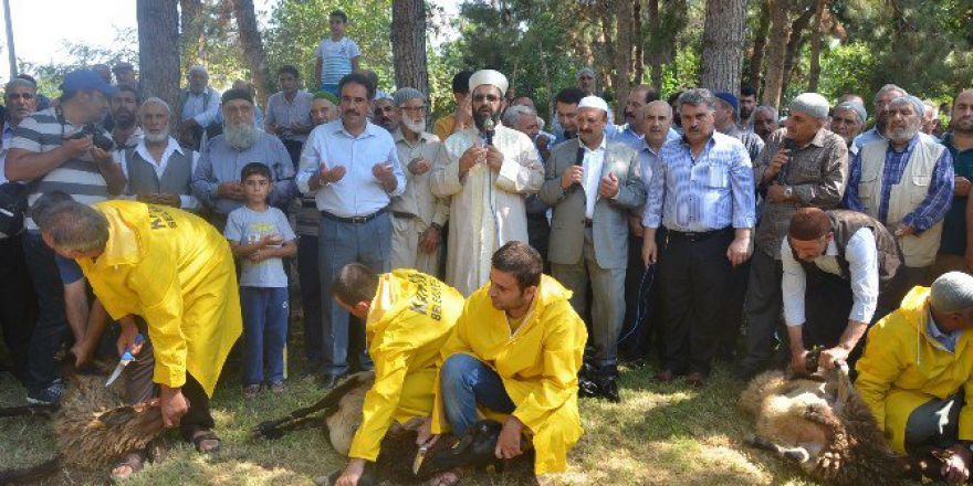 Kahta’da Şükür Kurbanı Kesildi