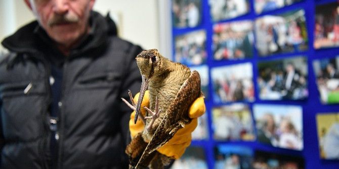 Bahçelievler Belediyesinden Soğuktan Etkilenen Hayvanlara Müdahale