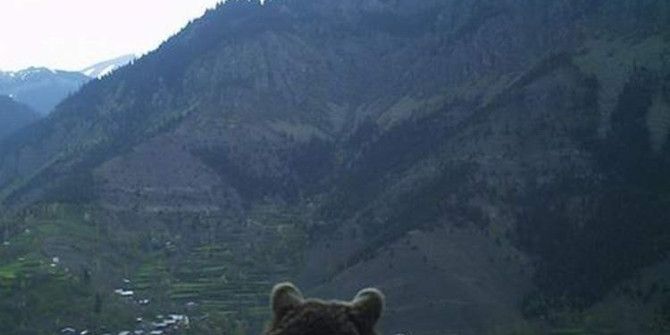 Artvin’de Ayının Köye Bakışı Fotokapana Yakalandı