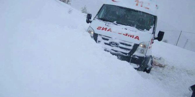 Onlar Kara Teslim Olmadı